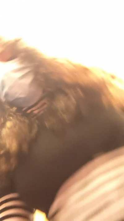 I don't always flash people but when I do I make sure it's at the mall