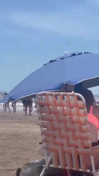 Así se esta viviendo la invasión de abejas en las playas marplatenses