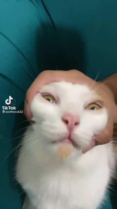 Forced Yuumi Yaassification