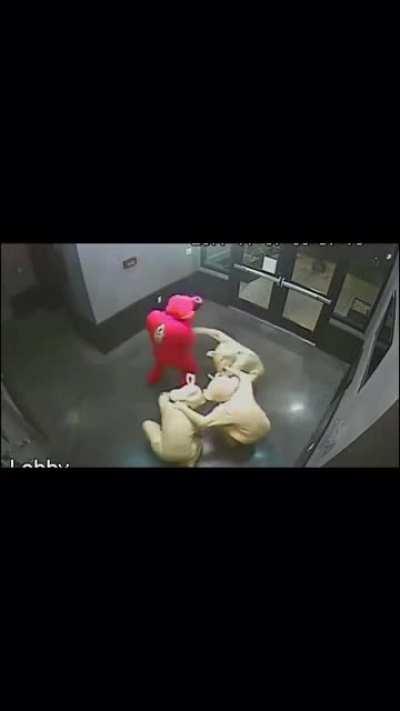 Rug was stolen, and a week later, it was returned. Here’s the CCTV footage