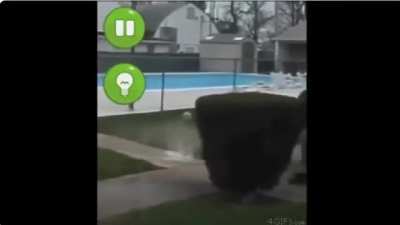 I think you guys will like this meme I found one day