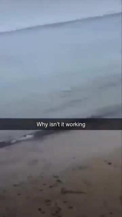 [Reupload] Day 113 of posting memes to end the furry war