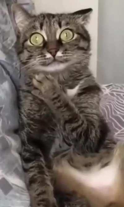 What did I just witness? 😱