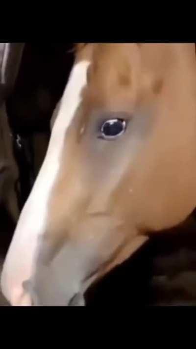 Por um momento... ele transcendeu.