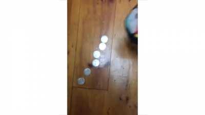 Shin Lim & Friends having fun