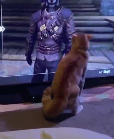 Whatcha looking at homie?