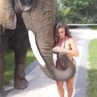 Two big titted animals