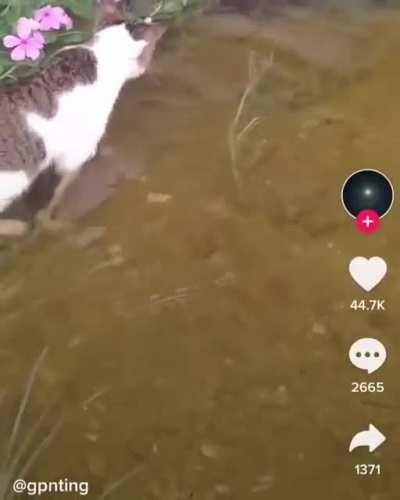 Navy SEAL squad about to raid.