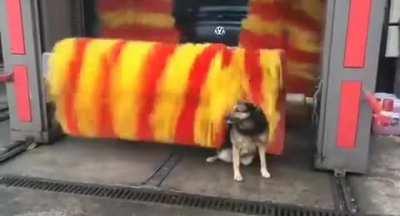 Lan ite bak çok tatlı