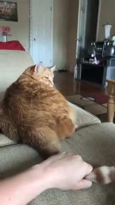 Honestly, I impressed myself with this one