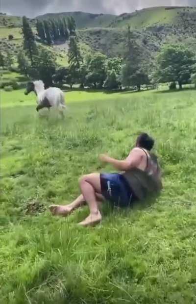 riding the horse while drinking.