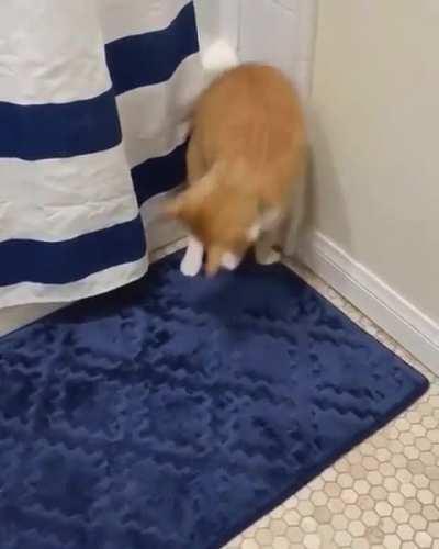 Hmm, it's good place to do somersault right now