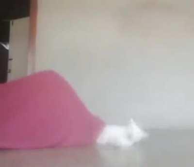 CaT eAtEn By A GiAnT wOrM