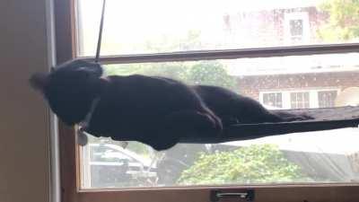 If at first you are not clean, lick harder