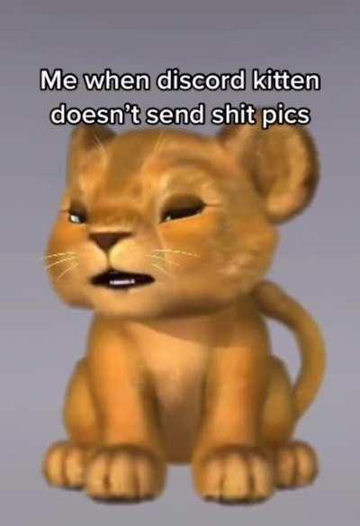 discord kitten🥵🥵😩🥵🥵😩🥵😩🥵🥵😩🥵😩