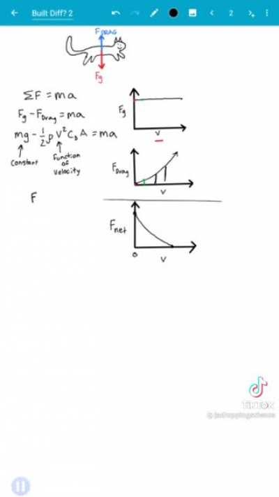 [Off-Site] cats are built different