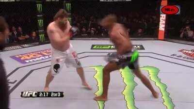 Roy Nelson vs Alistair Overrem