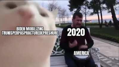 There are many many more captions I can put on the cat