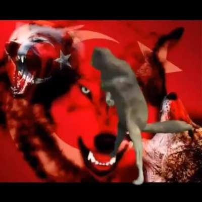 bunu yaparken hangi kafadaydı acaba