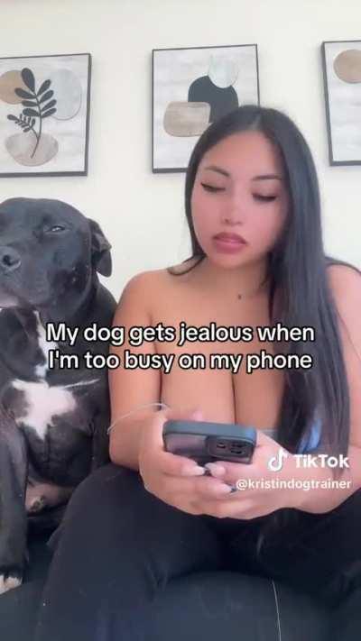 @kristindogtrainer It's a surprise for my buddy. I'm going to take him on a vacation