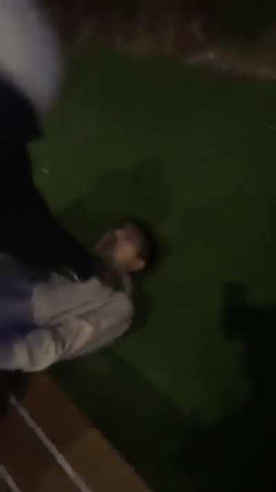 The DEO DEMONS were on N3on assð­ð­ð­