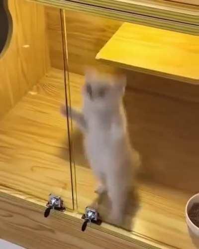 the prophecy has come true