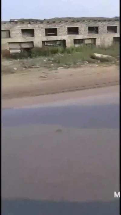 And this was the last time they heard about Alladin