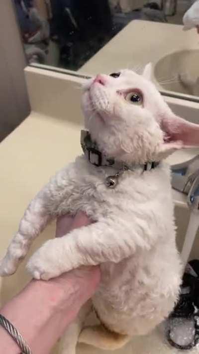 Bath time after after a stinky diaper. Manic Monday!