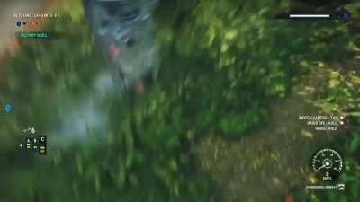 The music was just on point.