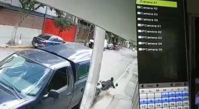 Morro Pendejo se queda sin dientes afuera de mi casa