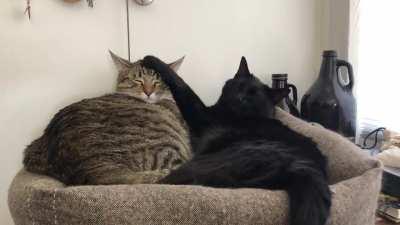 Traffic on the runway