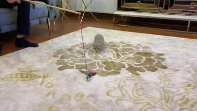 Target sighted & locked