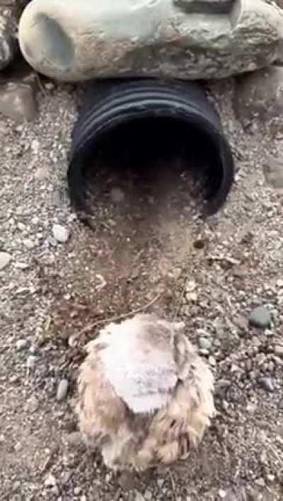 Quality Assurance at the factory assembly line