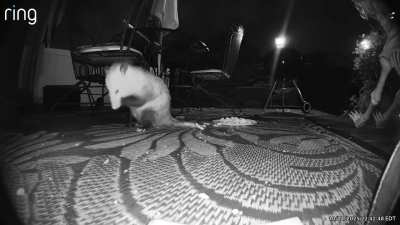 I Love When They Clean Their Face