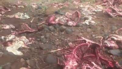 Imagine what else they are keeping from you…