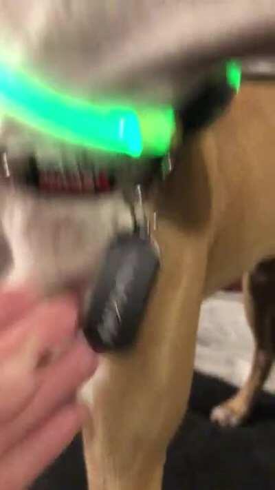 That stings a little...