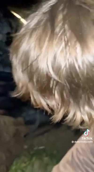 “How far did you drive on that?”