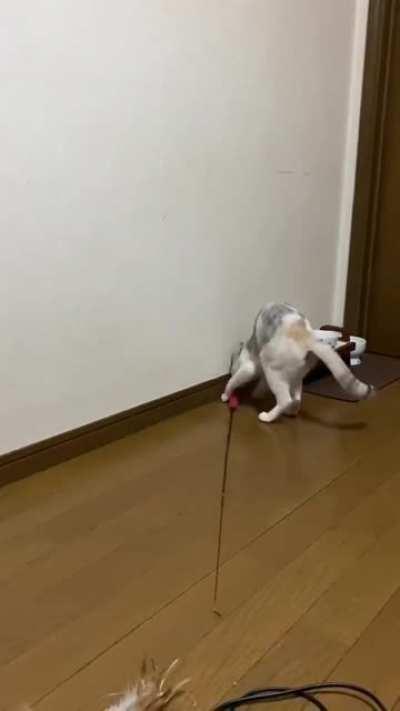 Fine! I’ll do it myself