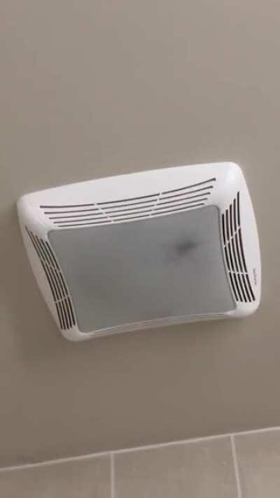 Wife will no longer enter the bathroom. 5 day waiting period with no movement will be observed.