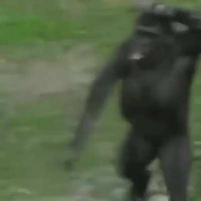 Eu e meus mano saindo pra espanca LGBTQ