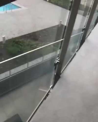 Well that's all folks