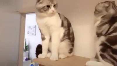 Time to go home, Jeff