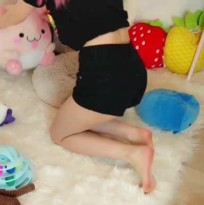 iGumdrop/Jaime petting her cat - August 2020