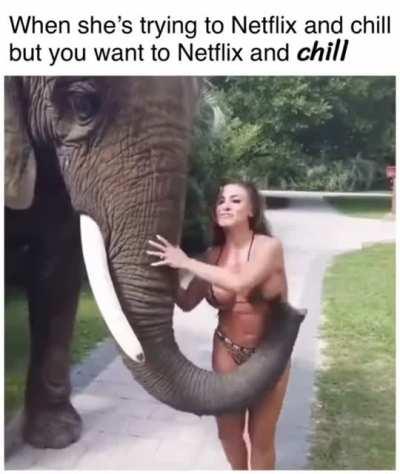 Can’t wait til after the movie to chill