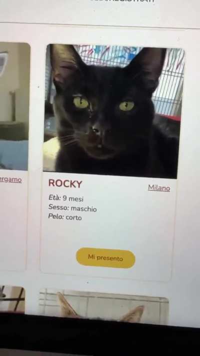 a nobleman among peasants