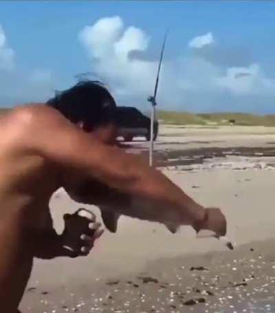 Baby shark, do do do….