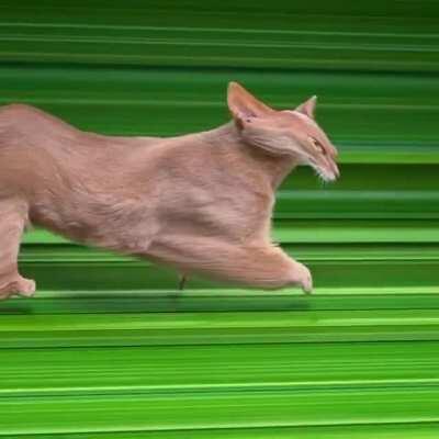 When the LSD kicks in