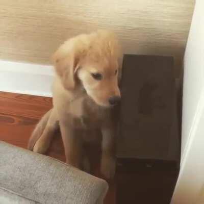 When you get caught doing something weird so you do it again to try and make it look normal