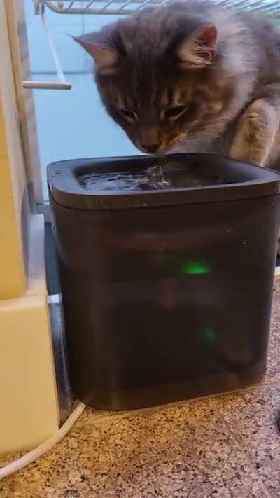 Kylo's new Water Fountain