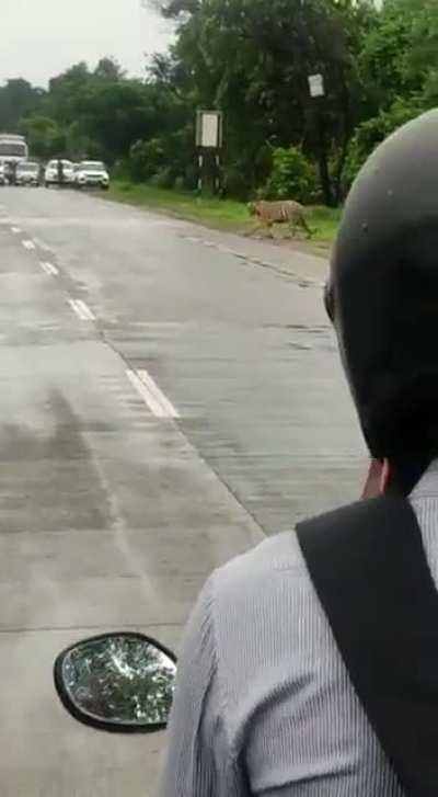 A normal day in India